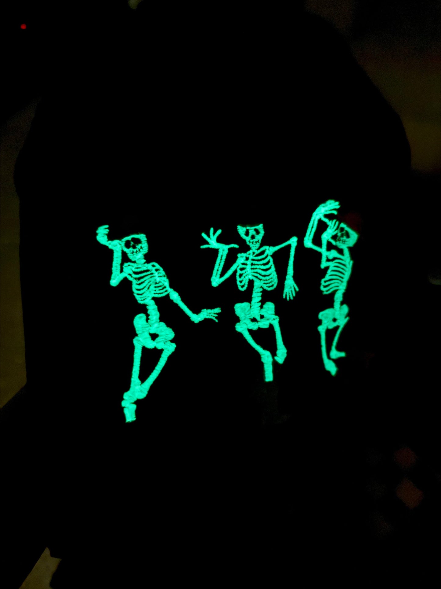 Embroidered western skellies