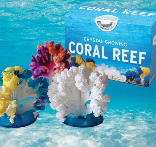 Do it Yourself Kits (Multiple Options)