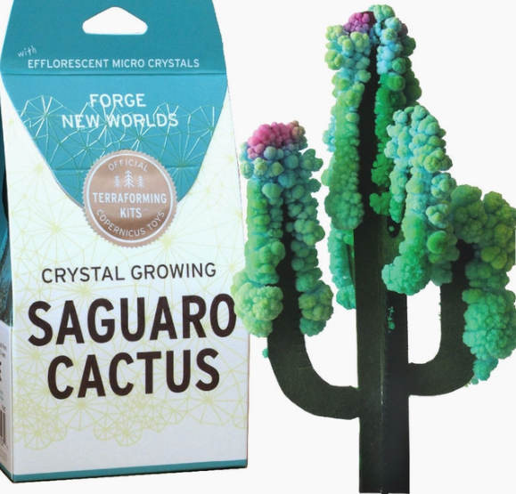 Do it Yourself Kits (Multiple Options)