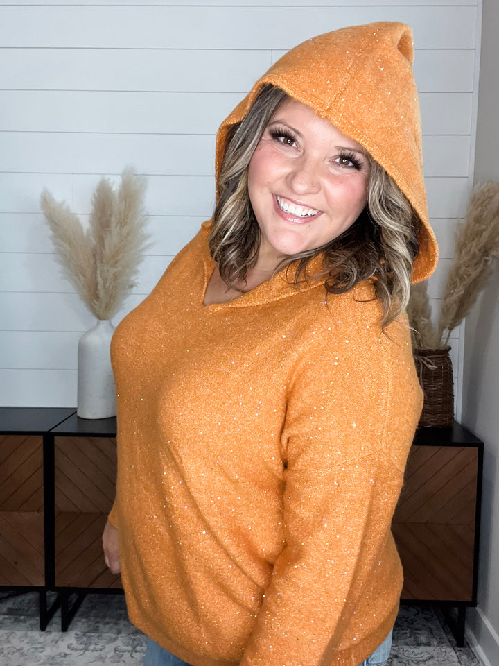 "Tennessee" Sparkle Hooded Sweater