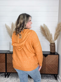"Tennessee" Sparkle Hooded Sweater