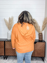 "Tennessee" Sparkle Hooded Sweater