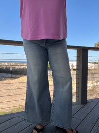 Mica Denim Retro Wide Leg Palazzo Pants