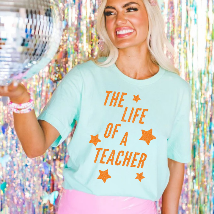 Life of a teacher