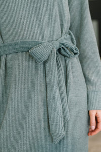 Dear Scarlett Travel Plush Knit Dress (Teal)