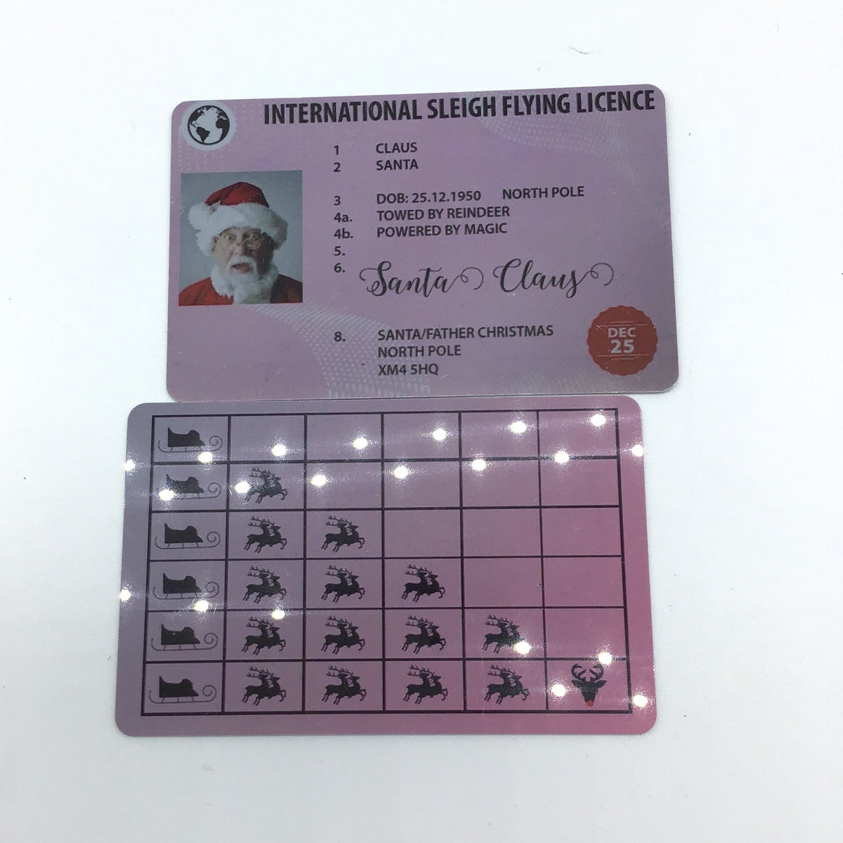 Santa's Sleigh Flying Licence-Lola Monroe Boutique