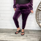 Velour Jogger Pant-Lola Monroe Boutique