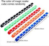 Snake Fidget Toy (Random Colors)